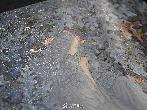 【冬·鸿鹄】