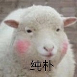 LAODO的头像