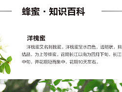 洋槐蜂蜜详情页