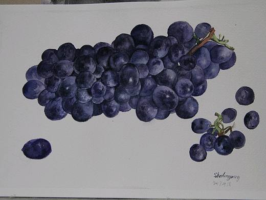 水彩葡萄