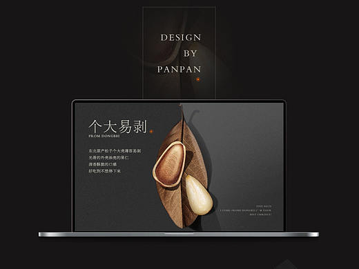坚果类松子详情页
