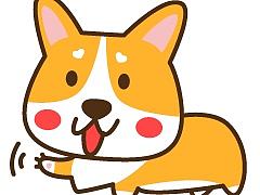 柯基冬菇菇微信表情上线啦~~