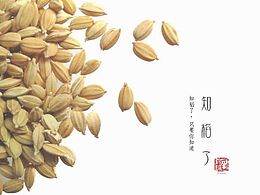 知稻了
