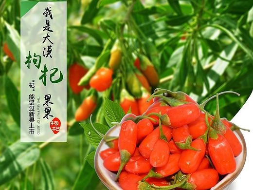 &quot;详情页（新鲜枸杞）_