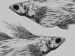 插画