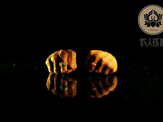 依人核趣～致广大•尽精微