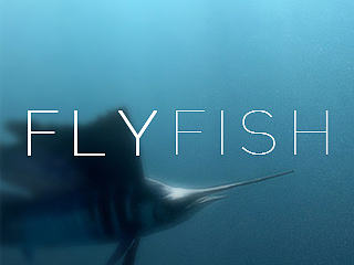 Flyfish
