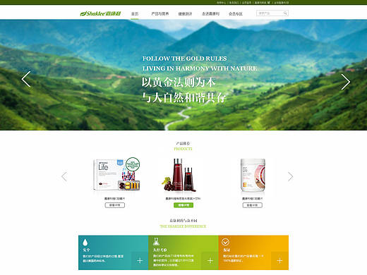 企业站整站设计