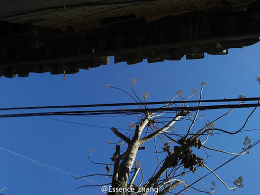 檐系列,A5封面@初品设计 #初品·出品本子#