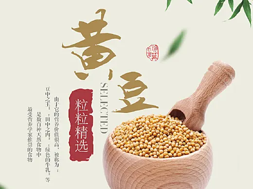 2017黄豆杂粮海报设计排版