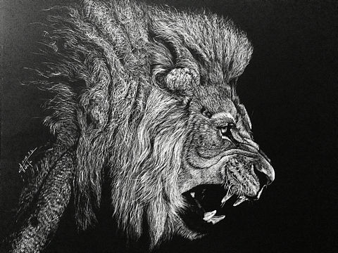 唯有画画，可以解暑