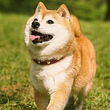 于小陈的头像