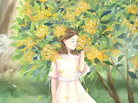 cherolia五年插画总结