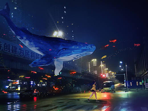 鲸鱼