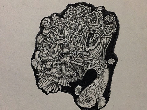 鱼