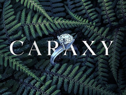 Caraxy - 国内首家培育钻石品牌