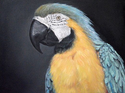 兿向丨黑色系列