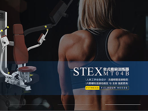 stex官网