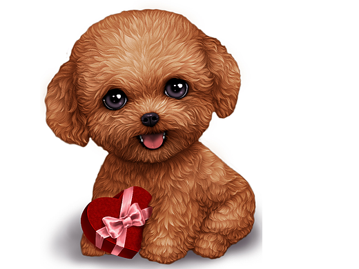 萌宠系列60---泰迪