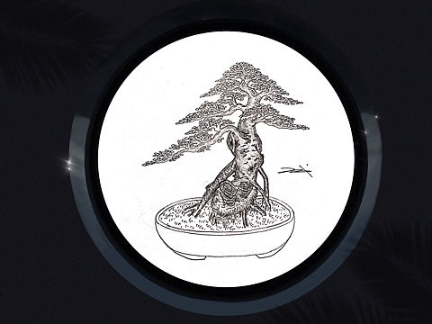 吕绍武手绘盆景设计效果图