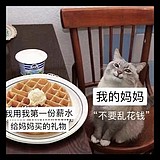 抹茶千城的头像