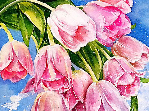 水彩花卉插画