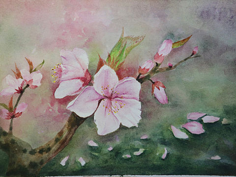 桃花已开,疫情走开