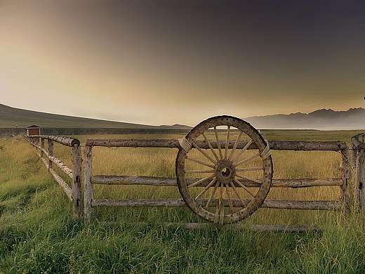 悠悠祁连山生态牧场