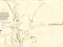 插画