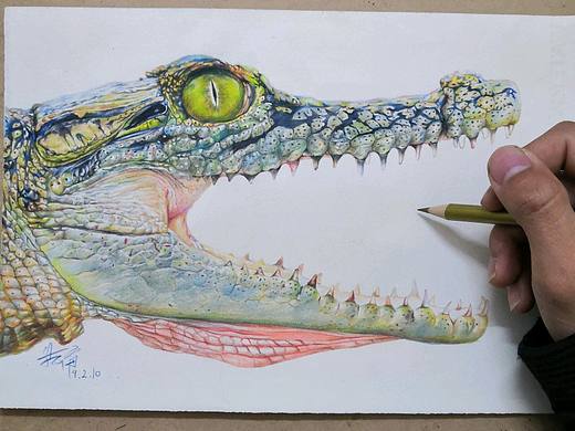 彩铅鳄鱼（个人主页-ZMzMyNjkzOTI=） - 绘画 - 站酷设计师普藍加深红原创素材 - 站酷ZCOOL