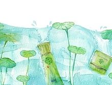 百雀羚24节气
