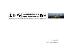 方案