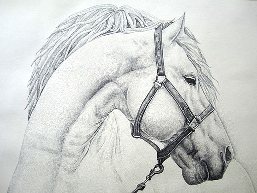 繼續(xù)點（個人主頁-ZMTI3Mzg2Mjg=） - 商業(yè)插畫 - 站酷設(shè)計師享耳XER原創(chuàng)素材 - 站酷ZCOOL