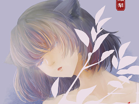 夏猫
