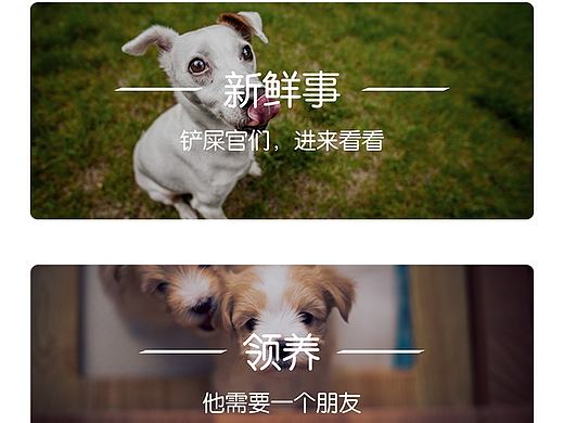 App-扩散（个人主页-ZMTkwNjQ0ODg=） - APP界面 - 站酷设计师WKH0421原创素材 - 站酷ZCOOL