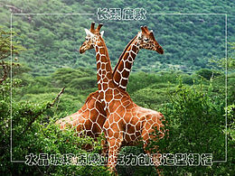 萌萌哒的小可爱～喜欢吗💕