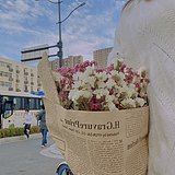 芽芽SJY的头像