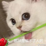 时髦的东东的头像