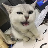 AKSSY47的头像
