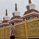 xiaozhangtongxue的头像