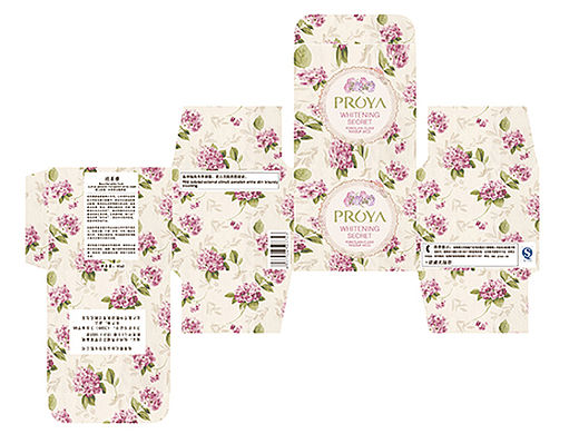 化妆品 护肤品 包装