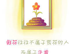 鲜花与牛粪
