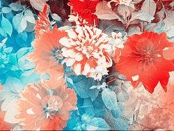 新來的，曬曬自己（個人主頁-ZMzE0NTg4） - 人文/紀(jì)實攝影 - 站酷設(shè)計師麥笨笨原創(chuàng)素材 - 站酷ZCOOL