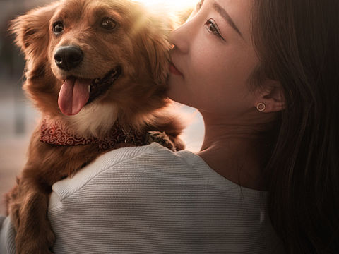 爱