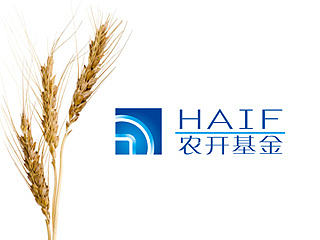 农开基金（个人主页-ZNjExNjk1Mg==） - 企业官网 - 站酷设计师托尼三三原创素材 - 站酷ZCOOL