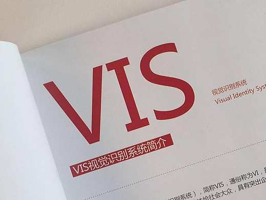 某公司视觉识别系统 VIS