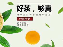 茶叶