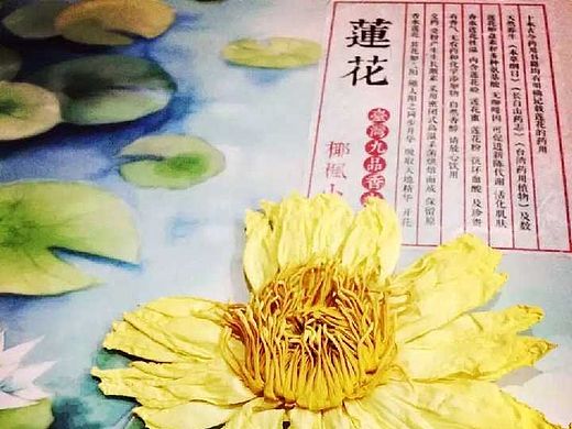 莲花茶包装设计（生态农产品包装设计）