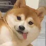 Norky的头像