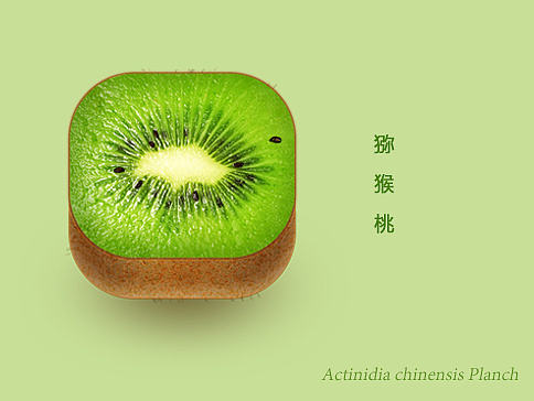 重拟物水果图标